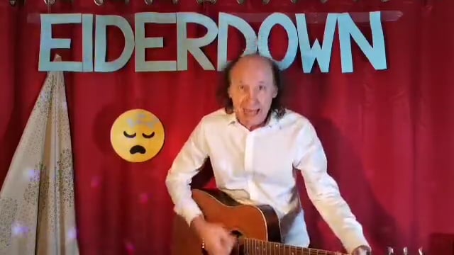 Eiderdown