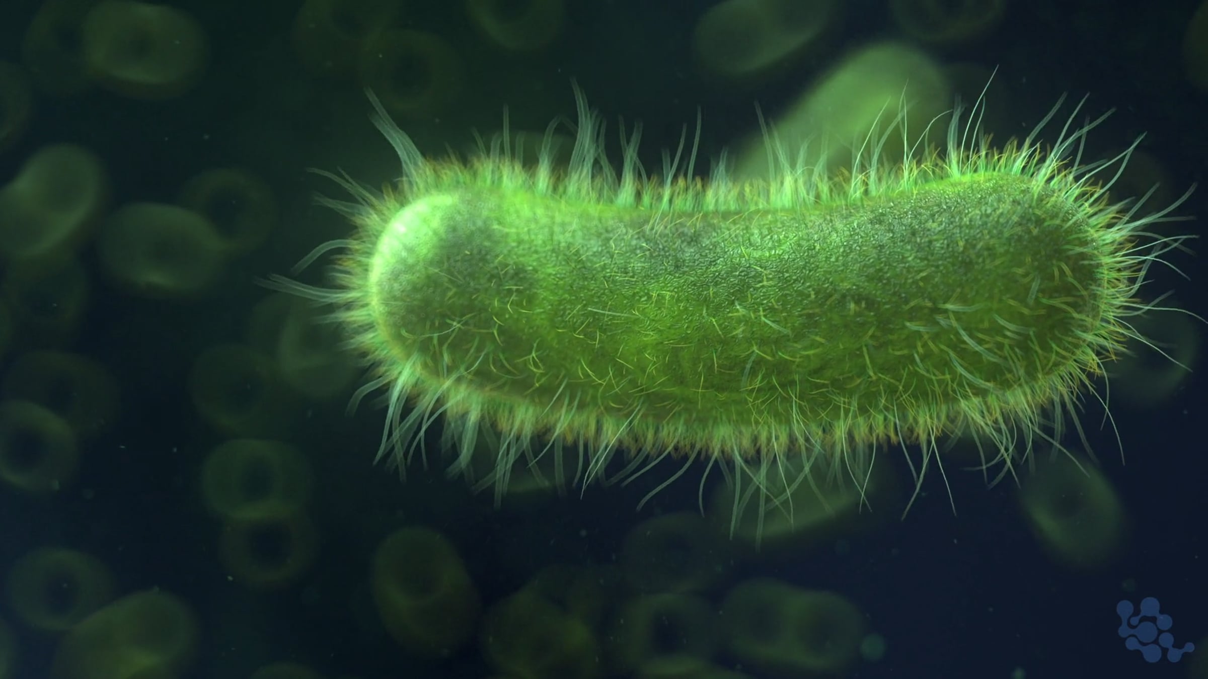 3D Bacteria Medical Animation | Videos & Movies on Vimeo