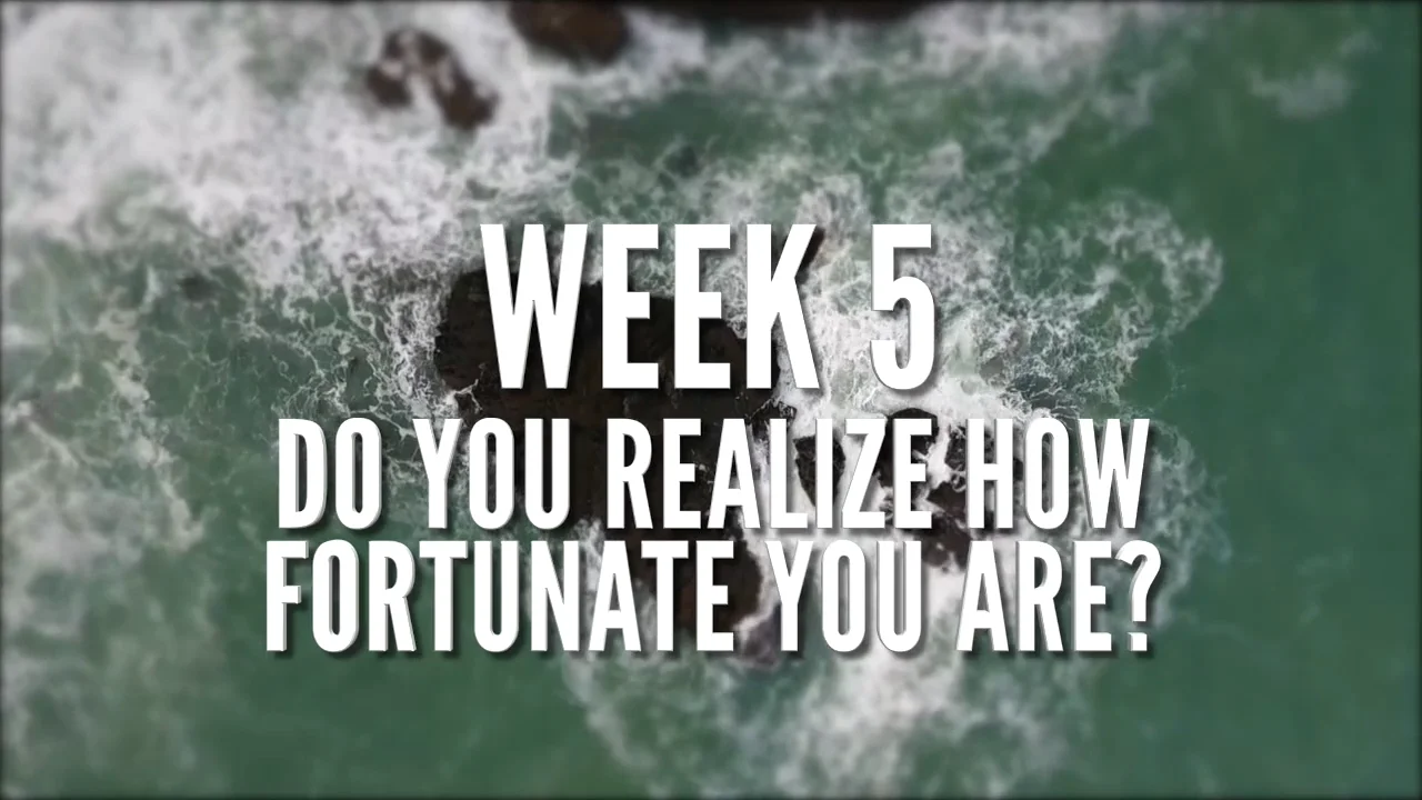 Do You Realize How Fortunate You Are? on Vimeo