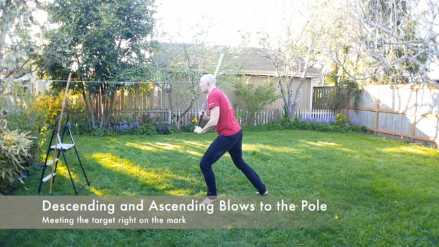 Descending and Ascending Blows to the Pole | LS Solo