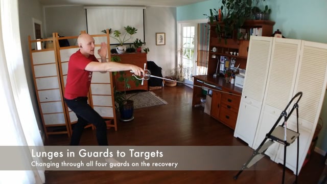 Lunges in Guards to Targets | RA Solo