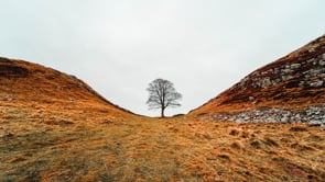 Revival History Makers