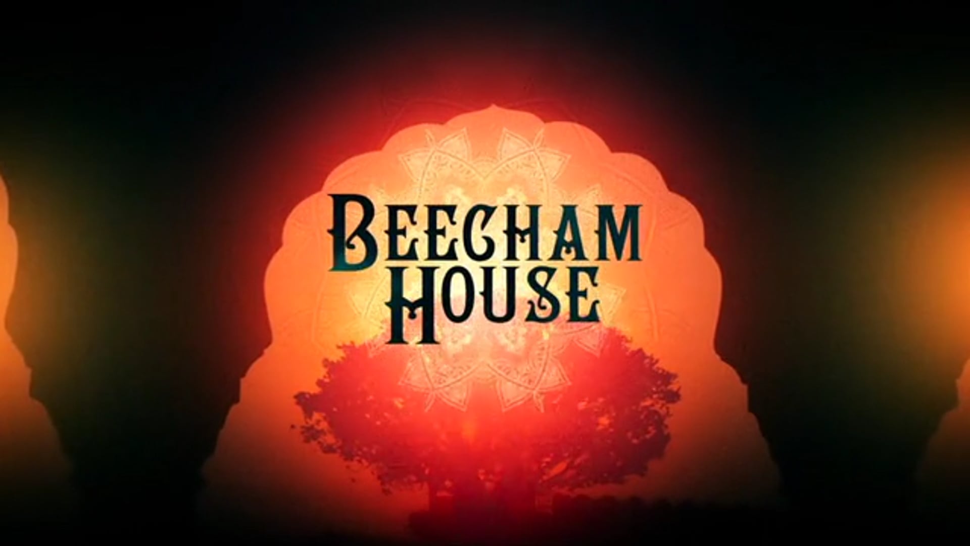 Beecham House - The Directors Chair