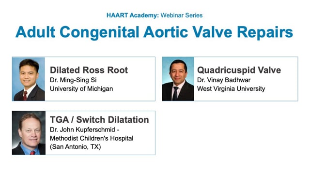 HAART Academy: Adult Congenital Aortic Valve Repair