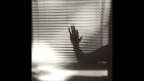 Could Say Shadow