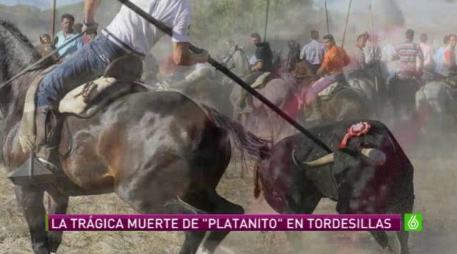 LaSexta Noticias – Igualdad Animal se infiltra en Tordesillas