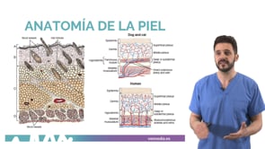 Manejo de heridas