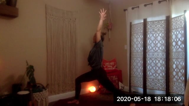 Vinyasa Flow Diana Eisiminger: May 18, 2020