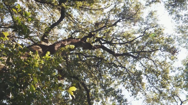 Il Giardino dei Principi