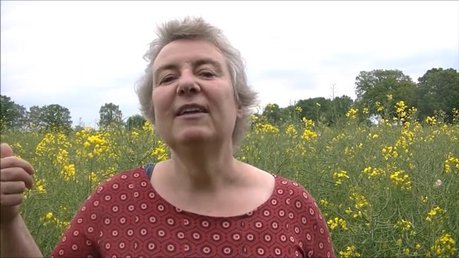 Warum Bedürfnisse erforschen hilfreich ist