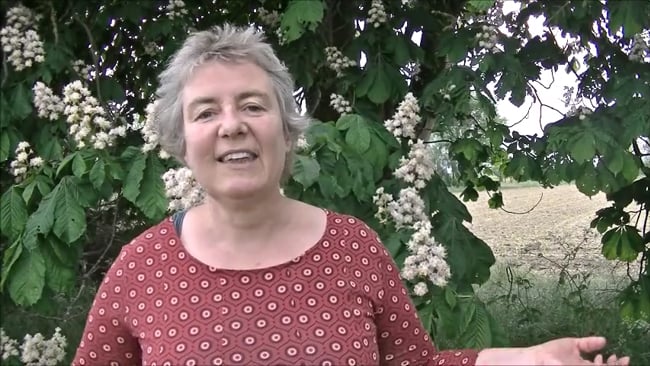 Bergfest - Deine Intention / Ziel / Wunsch