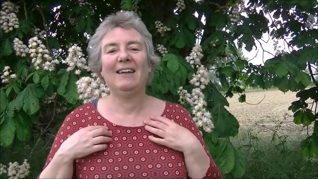 Deine Absicht / Ziel - Deine Challenge