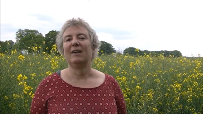 Aufgabe für die nächste Woche - Wut