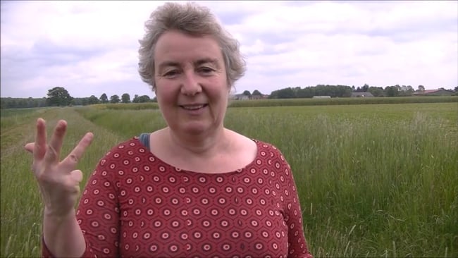 Dein Unterstützungs - Netzwerk