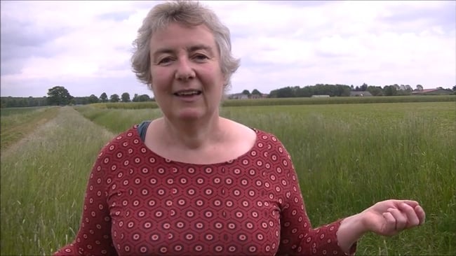 Umsetzung - Deine Intention / Ziel / Wunsch