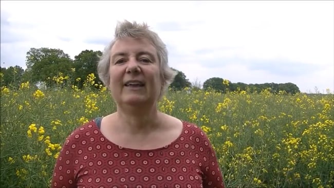 Deine Challenge für diese Woche