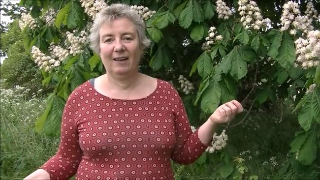 Reflexion und feiern