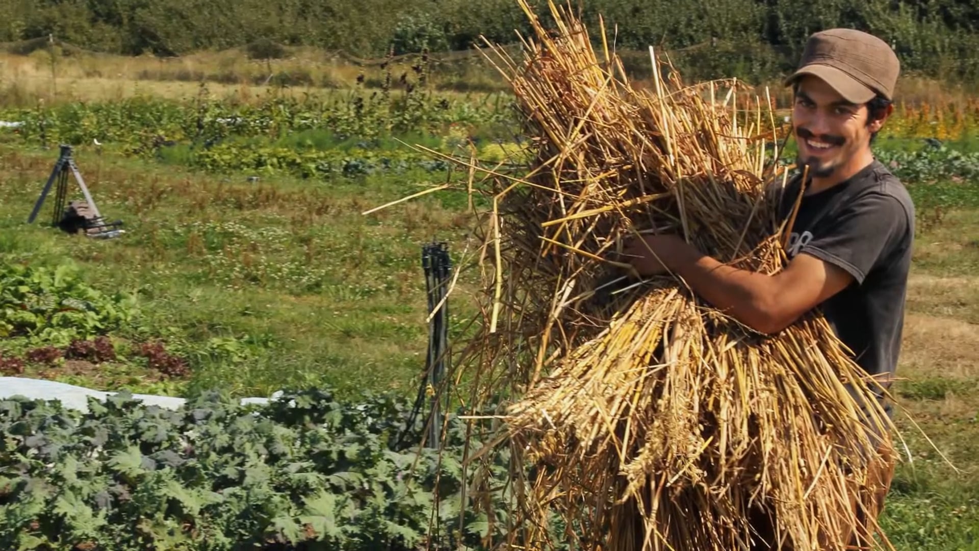 Organic Farm School: The Beginning