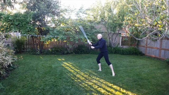 Hanging Parries with Offline Steps | LS Solo