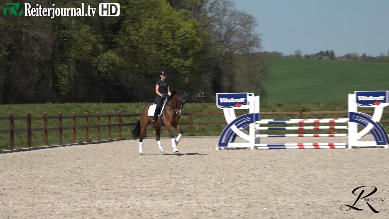 Quarantäne-Training mit Katrin Burger - Teil 6 - präsentiert von RIDENTITY