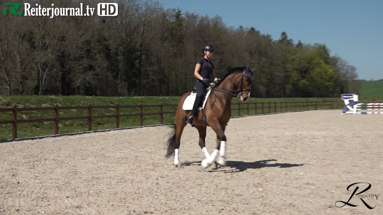 Quarantäne-Training mit Katrin Burger - Teil 7 - präsentiert von RIDENTITY