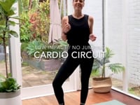 Low Impact / No Jumping CARDIO - 30 minutes