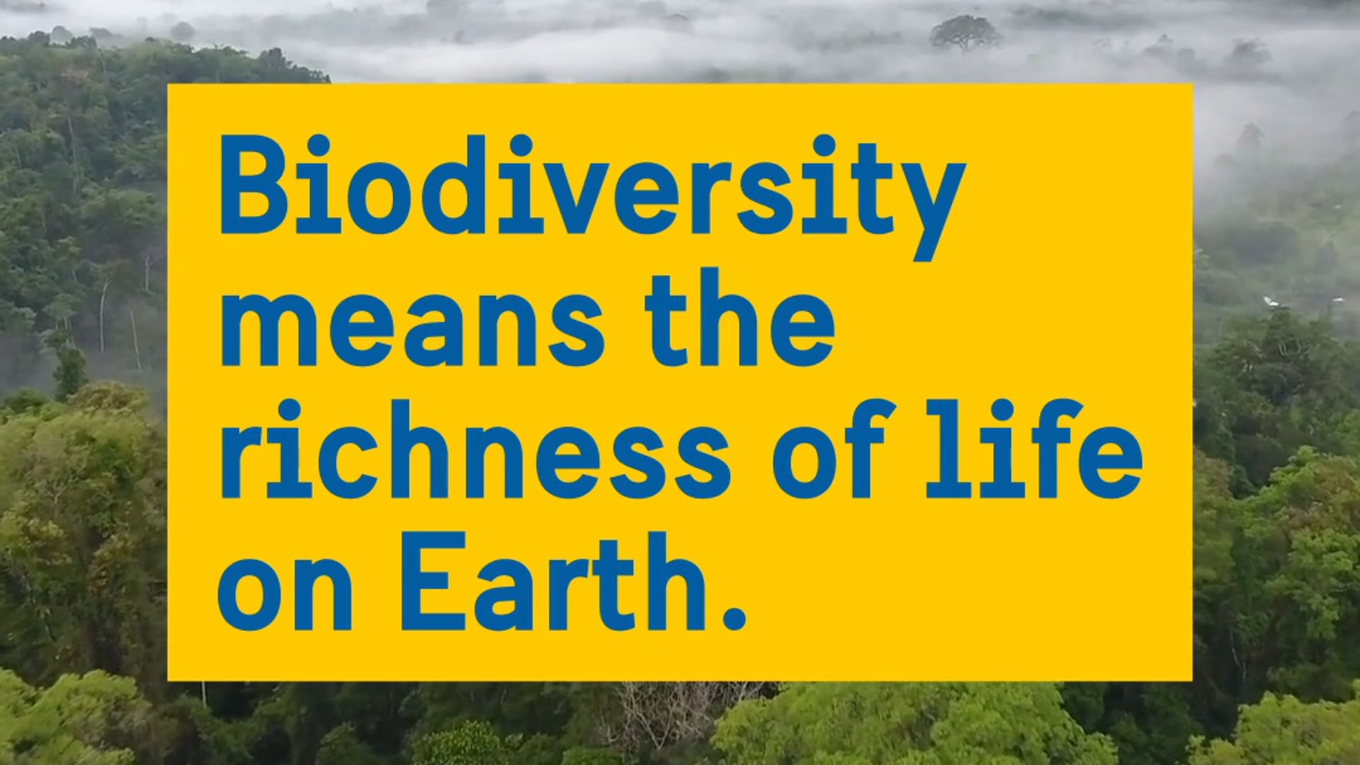 Biodiversity