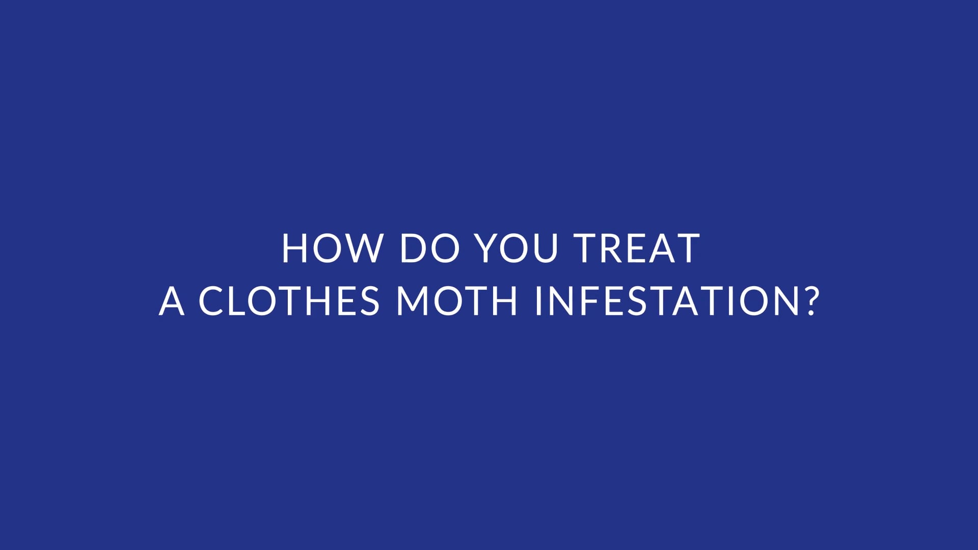 How Do You Treat A Clothes Moth Infestation? on Vimeo