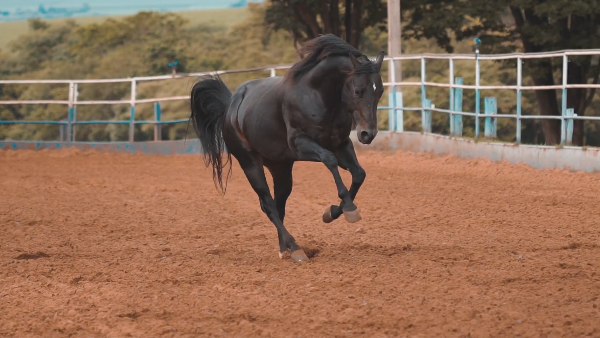 Institucional IMEVE | Português