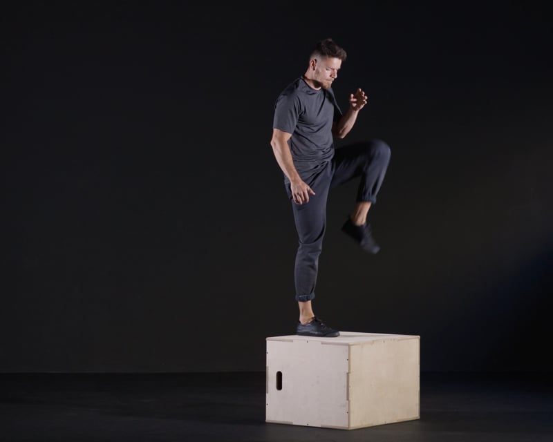 Box Step Ups + Back Lounge
