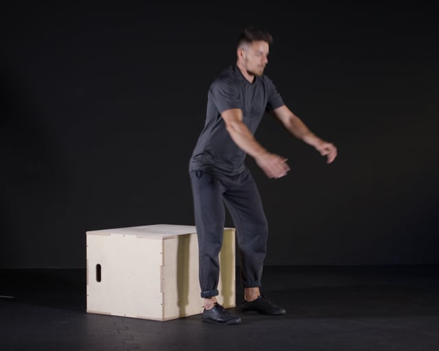 Box Squats