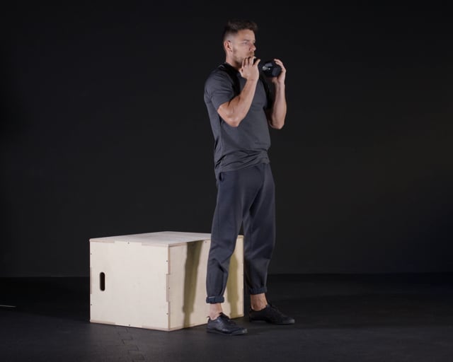Box Squats - Dumbbell