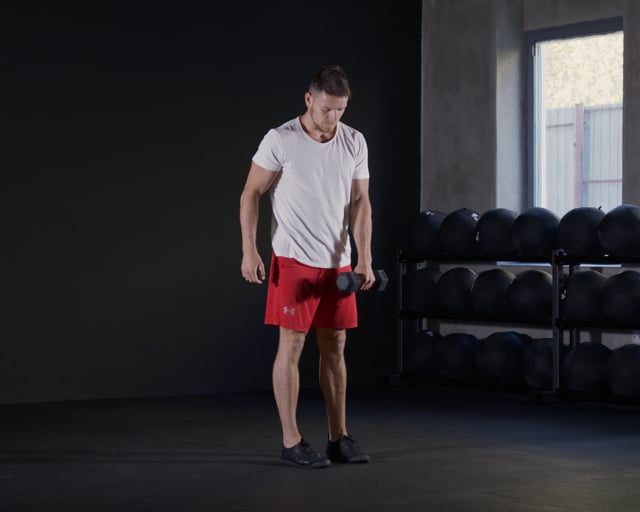 Single Leg Romanian Deadlifts - Dumbbell