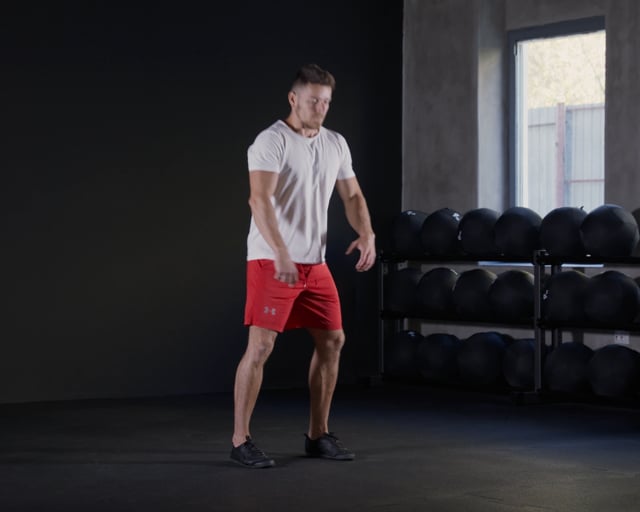 Jump Squats - Beginner