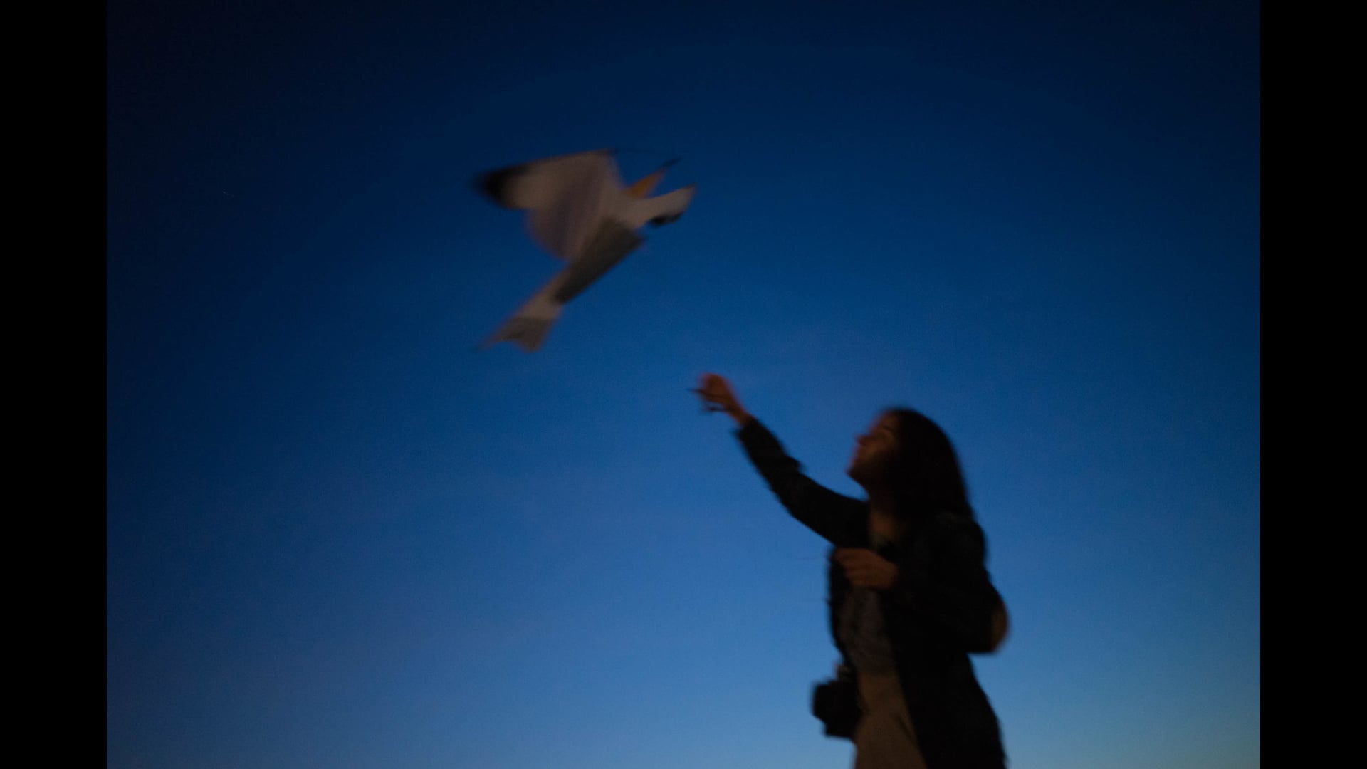 Bird Song
