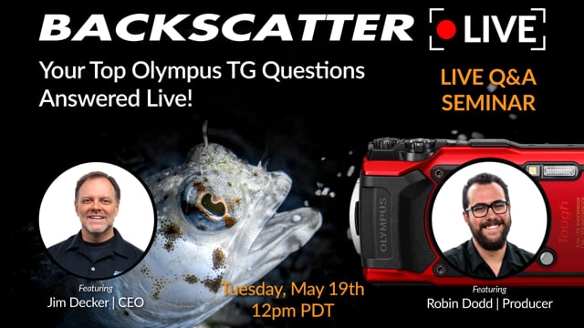 Your Top Olympus TG Questions Answered LIVE [Recorded Live] May 19 2020