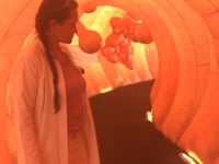 Reise durch den Darm