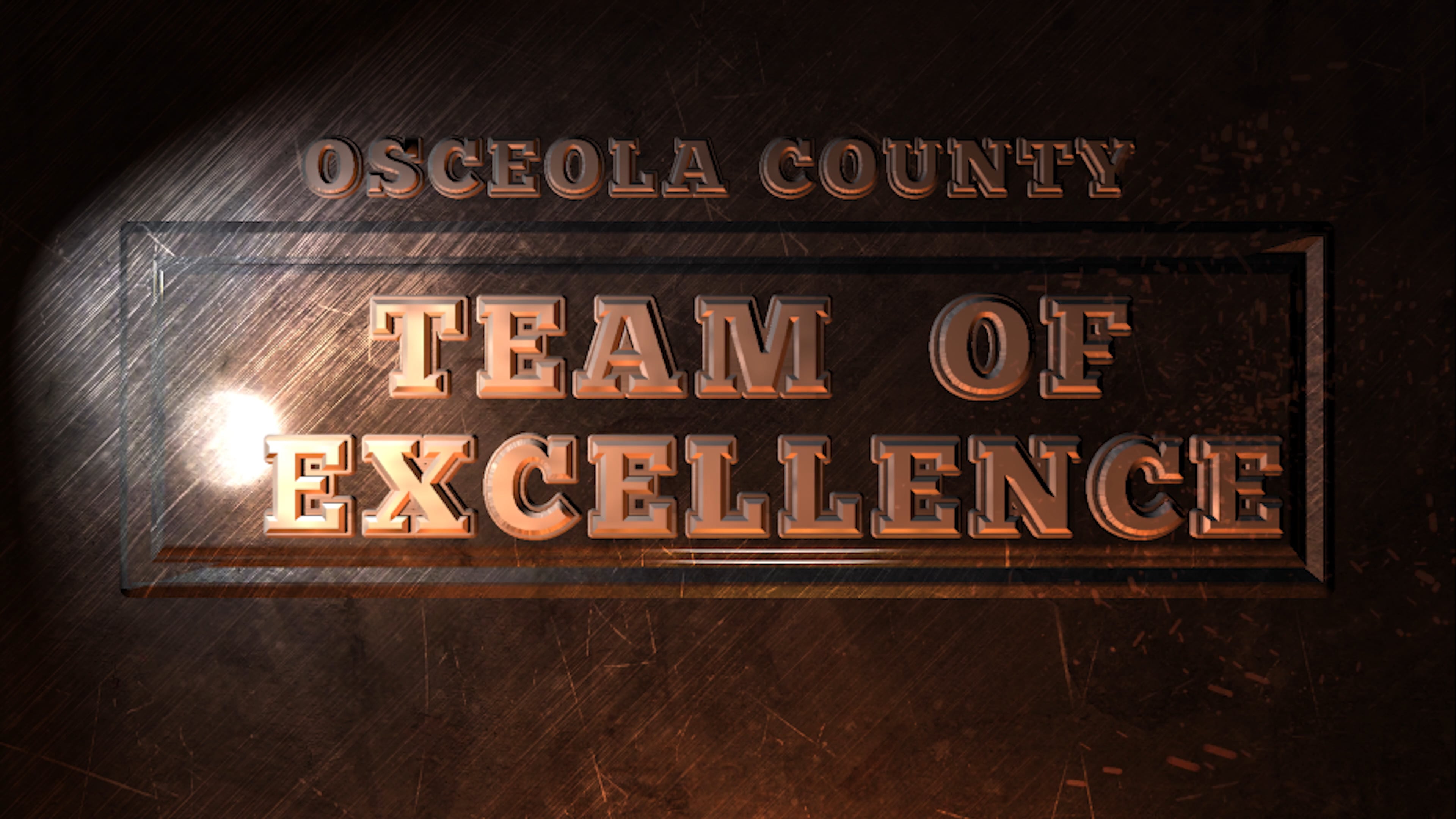 Osceola County Team of Excellence Award Information Technology