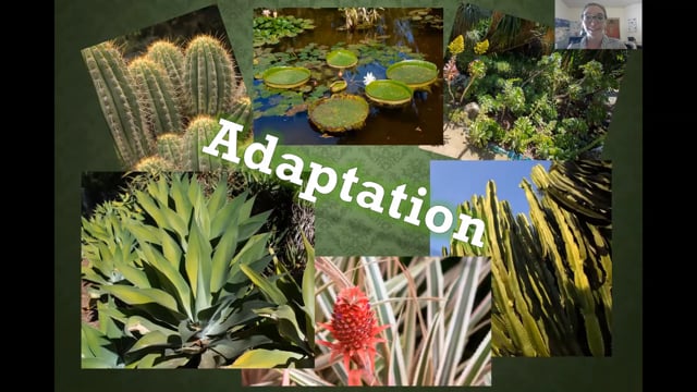 Lesson #3 “Plant Adaptations: How do plants survive around the world?”