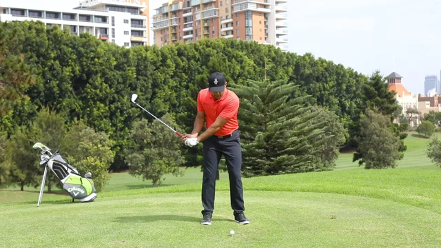 How the Tee Height Impacts your Golf Shots - Golf Distillery