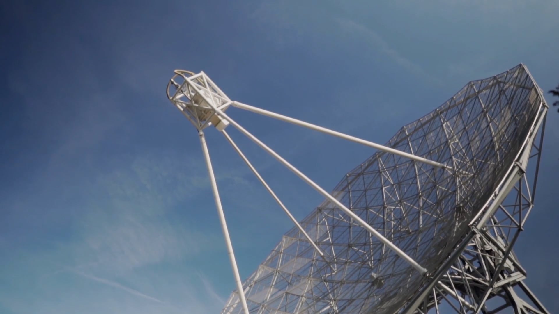 FORCED TIME OUT trailer #2