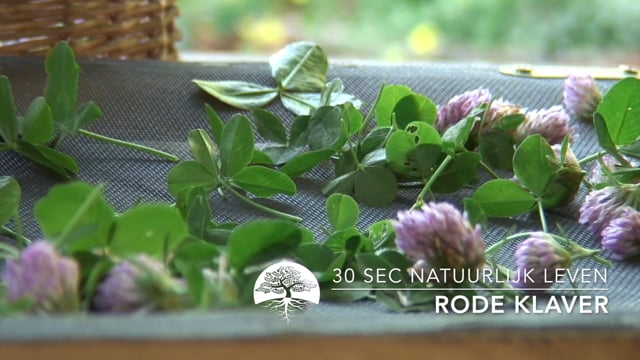 30 sec Natuurlijk Leven – Rode Klaver