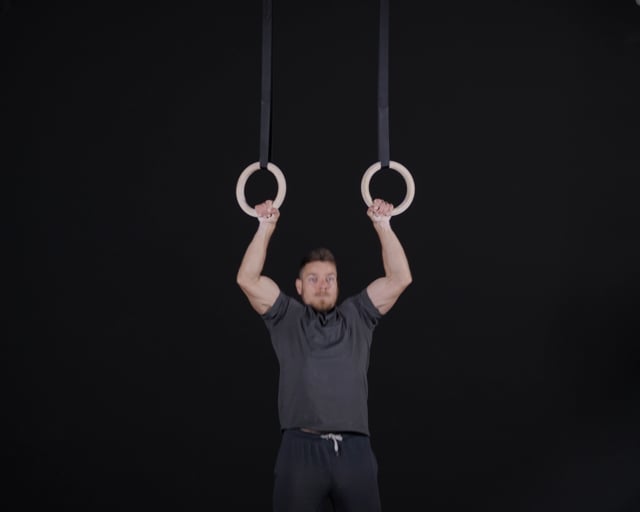 Bulgarian Pull Ups - Rings