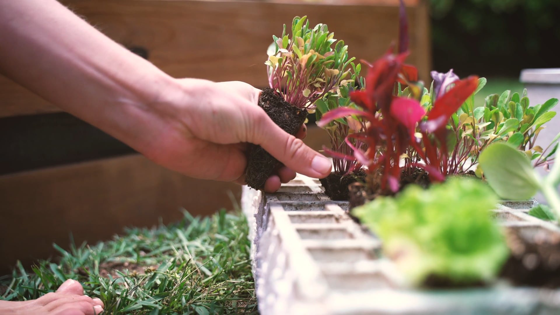Creating and planting a raised bed