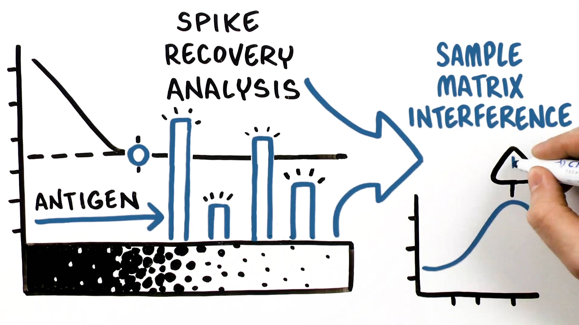 Dilution Linearity and Spike Recovery on Vimeo