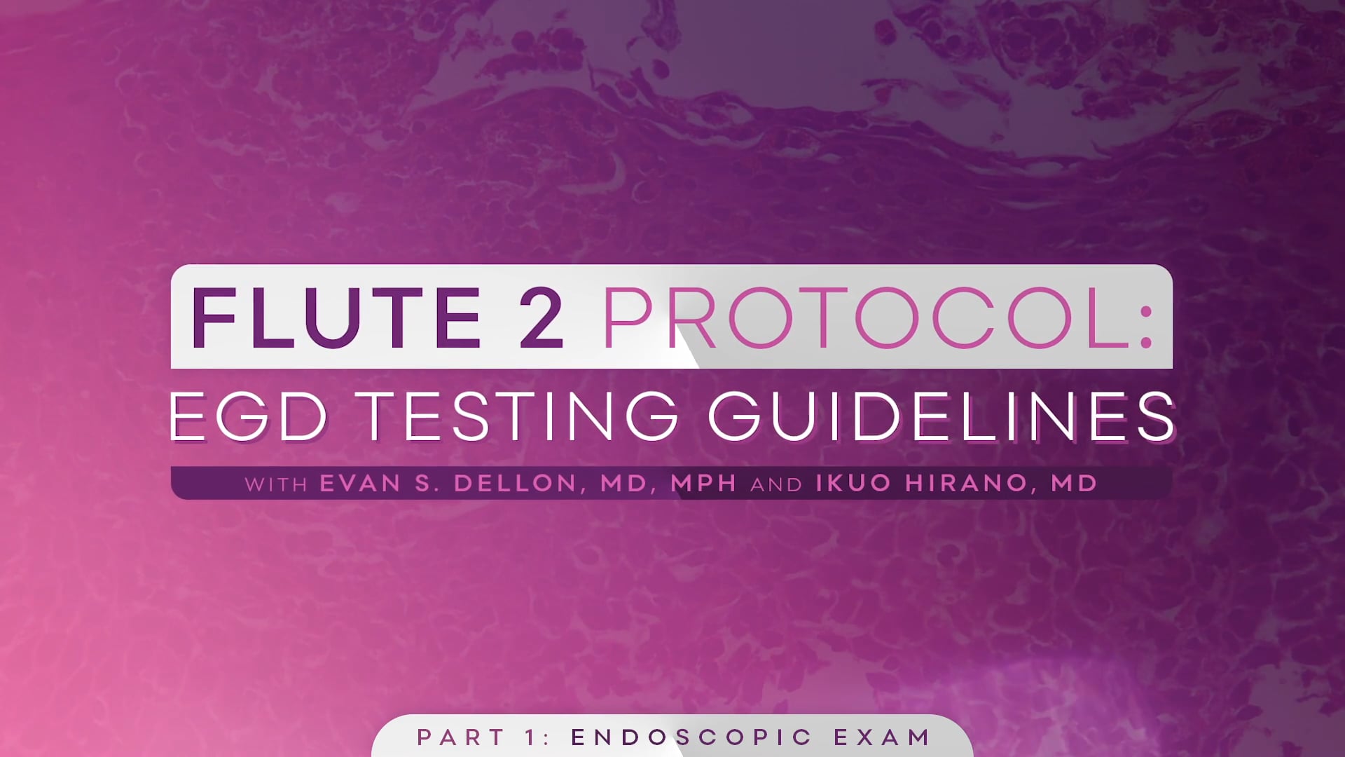 Flute 2 Protocol Training