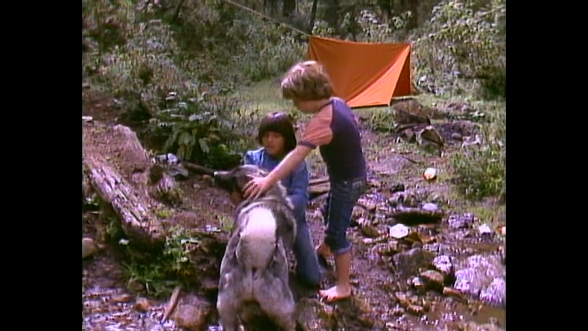 UN CAMPAMENTO DIFERENTE 8