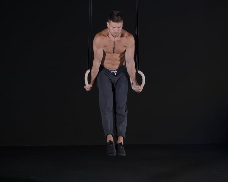 Alternating Knee Raises - Rings