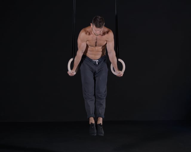 Scapula Shrugs (Crunches) - Rings