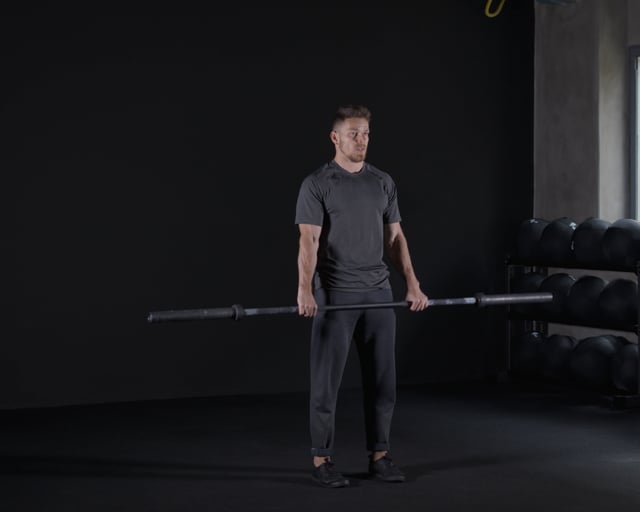 Barbell Curls - Reverse Grip